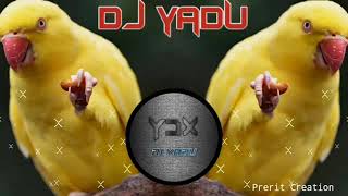 Pinjre me popat bole gondi remix demo dj yadu ydx [upl. by Guinevere]