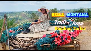 Bella Montana Farm at Bamban Tarlac fruitfarm youtubevideos mountainview [upl. by Welcome]