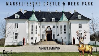 Aarhus Deer Park  Marselisborg Castle  Infinity Bridge  Aarhus Series  EP 3 [upl. by Alliscirp160]