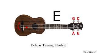 tuning ukulele tuning ukulele senar 4 [upl. by Imerej]