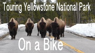 Bike Tour Through Yellowstone Sans Blake [upl. by Rannug]