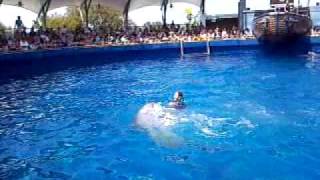 Miami Seaquarium  Miami Florida  Part 2 of 5 [upl. by Nosittam]