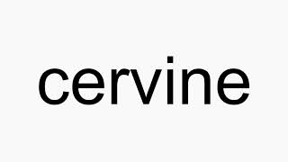 How to pronounce cervine [upl. by Scrivenor]