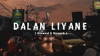 Dalan Liyane Slowed amp Reverb [upl. by Westley]