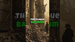 The Black Death deadliest pandemics in human history blackdeath  facts europe history [upl. by Nwahsyd]