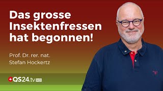 Chitinase – Die Grosse Gefahr beim Insektenfrass  Prof Dr rer nat Stefan Hockertz  QS24 [upl. by Ahsilem517]