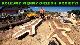 PIĘKNY ORZECH WŁOSKI POCIĘTY [upl. by Audette]