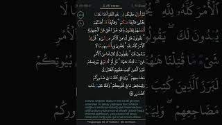 Surah Ali Imran ayat 154 alquran shorts [upl. by Lewin]