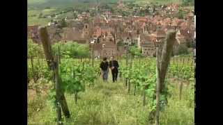 Discover the Wines of Alsace [upl. by Caren]