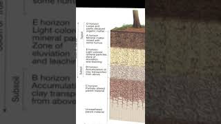 Soil Erodibility [upl. by Ahtnamys]