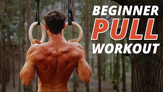 Beginner Rings Pull Workout SETS amp REPS [upl. by Nairdna]