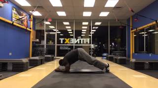 Plank Hip Raise Fitnext Core [upl. by Ahsienroc200]