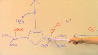 Superoxide Dismutase [upl. by Notlil343]