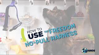 Freedom Harness  Adjustment and Fitting Instructions [upl. by Aleel]