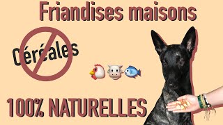 Friandises faites maison pour chien qui sont naturelles et SANS céréales [upl. by Attelra]