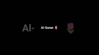 Quran 🌸 [upl. by Delia102]