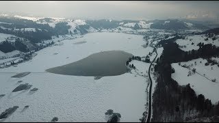 Grosser Alpsee bei Immenstadt im Allgäu friert langsam zu  Bergwasser [upl. by Engleman776]