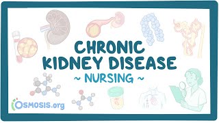 Chronic kidney disease Clinical Nursing Care [upl. by Gault]