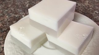 Easy Asian Coconut Jello Recipe Updated Video [upl. by Kcirtemed]