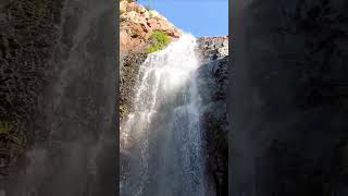 Kapila Theertham Waterfalls Today spiritualjourneywaterfalls waterfallsounds [upl. by Ahsotal]