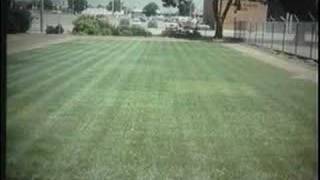 Turfgrass Management Part I [upl. by Dnarb]