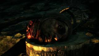 The Witcher 2  PC  Trailer [upl. by Darum]