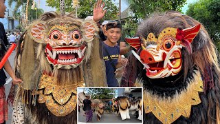 BARONG BANGKUNG MEPETUK DAHSYAT [upl. by Ahsercal130]