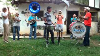 EL CANARIO  BANDA TUBAZO DE SAN JOSE  BANDA DE VIENTO 2014 [upl. by Monroe]