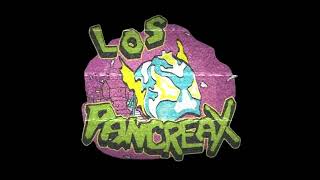 Los Pancreax  Barrio Calavera  En Vivo [upl. by Donoho122]