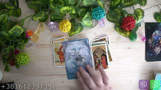 Lav  Sta misle trenutno o vama Ovo su njihova iskrena osecanje  💕Tarot Citanje 🔮 [upl. by Ahsyekal]