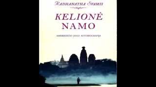 Radhanatha Svamis Kelionė namo 2 Dalis Audio knyga [upl. by Bekha94]