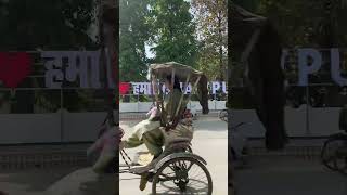 Ghazipur City Status  Dhamki T Milat Rahela Ye Kareja  Ghazipur Short Video ghazipur [upl. by Acsot516]