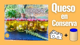 El QUESO EN ACEITE se Conserva durante meses 👍🏻 4 Gustos para disfrutar  RECETAS EN 5 MINUTOS [upl. by Ad]