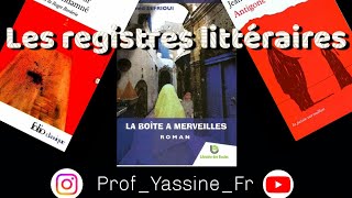 Les registres littéraires [upl. by Ocin]