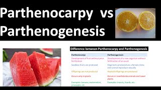 Parthenocarpy vs Parthenogenesis [upl. by Luckin]