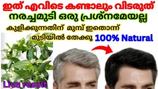 100Natural Hair Dyeഞെട്ടാൻ റെഡി ആയിക്കോളൂ ഇതൊന്ന് തൊട്ടാൽമതി മുടി കട്ട കറുപ്പാകുംnaturalhaircare [upl. by Abigail]