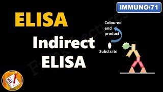 Indirect ELISA FLImmuno71 [upl. by Eveam653]