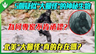 5個疑似“大腳怪”的神秘生物，為何專家至今無法解釋？北美“大腳怪”真的存在嗎？ [upl. by Binnings]