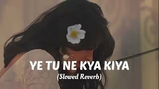 Yeh Tune Kya Kiya Lofi SlowedReverbAkshay Kumar Pritam RelaxChillStudy viral [upl. by Kassel]