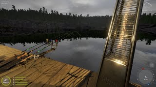 RUSSIAN FISHING 4  IDEMO JEDAN LAGANI TURNIR  BALKAN LIVE [upl. by Esinnej]