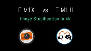 EM1X vs EM1 II  Quick IBIS Video Comparison [upl. by Menendez]