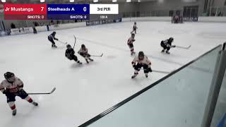 Steelheads A at Jr Mustangs Game 2 [upl. by Seuqram]