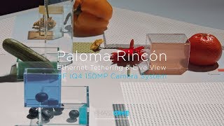 Paloma Rincón  Ethernet Tethering amp Live View  Phase One [upl. by Calloway]