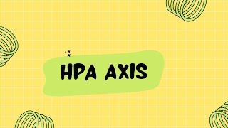 HPA axis  HypothalamusPituitaryAdrenal Axis  What is the role of HPA axis in stress [upl. by Airdnua]