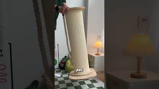 The Natural Fiber Behind Cat Scratching Posts sisal [upl. by Annocahs544]