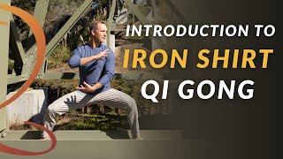 Introduction to Iron Shirt Qi Gong  11Min Routine [upl. by Michaele]