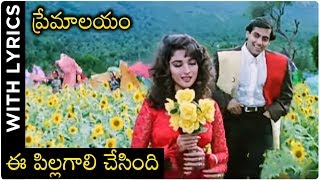 Premalayam Movie Video Song With Lyrics ఈ పిల్లగాలి చేసింది  Salman Khan  Madhuri Dixit [upl. by Aissak]