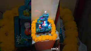 Orry ki first diwali 🎇subscribelikesharesupportmychannelshihtzucutenessfuncutecomedy ytdog [upl. by Eerehs]