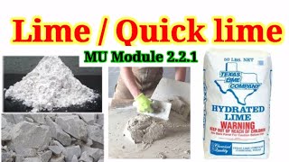 The Ultimate Guide to Mastering the Lime  Quick lime Everything You Need to Know [upl. by Midan]