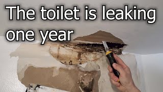 Toilet Leakage Sheetrok Water Damage and Mold [upl. by Llewoh]